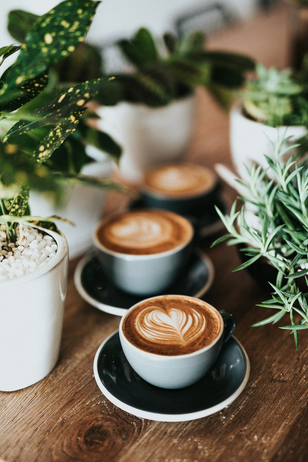 What Makes Decaf Actually Taste Good