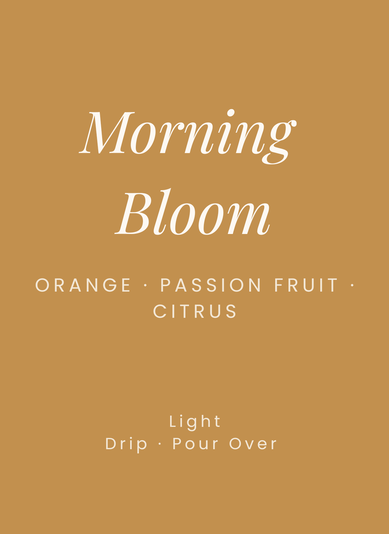 Morning Bloom EA Decaf - Colombia El Vergel (Natural)