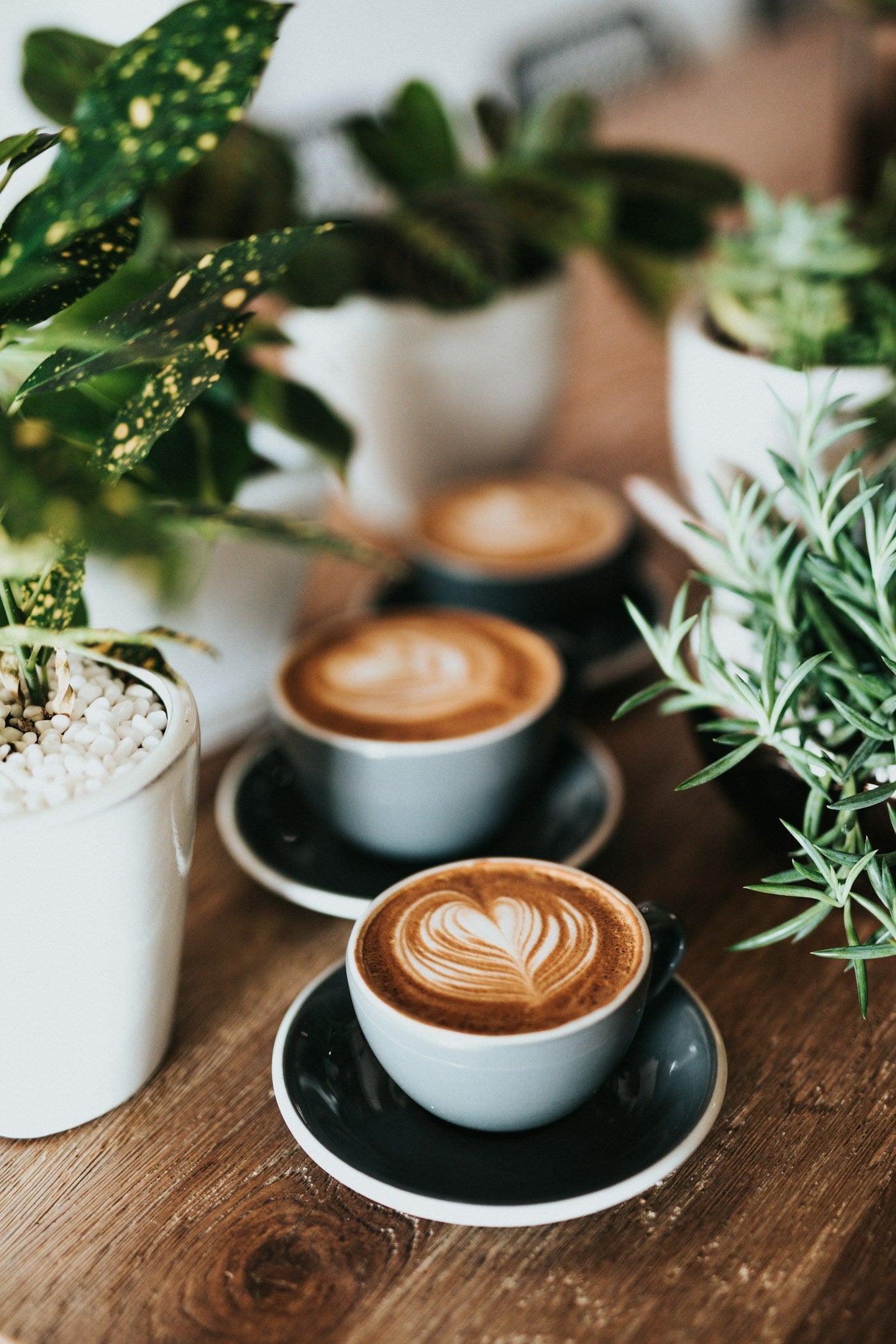 What Makes Decaf Actually Taste Good