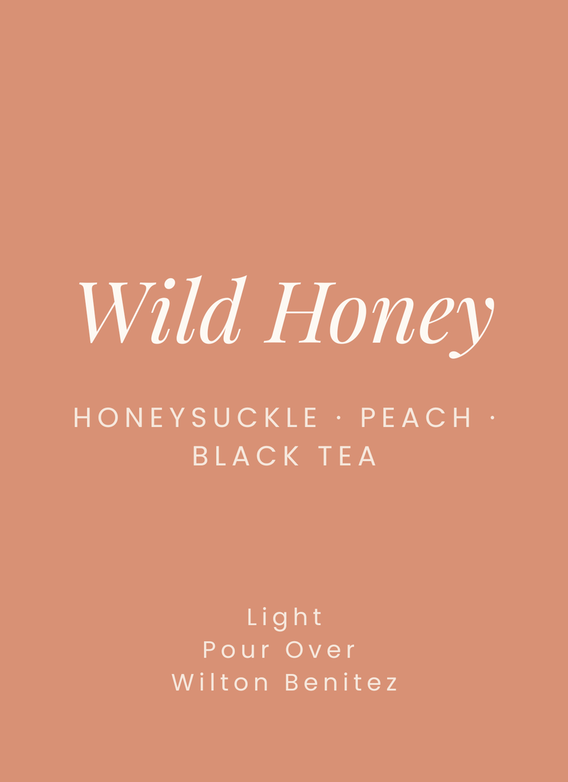Wild Honey EA Decaf – Colombia Granja Paraiso 92 (Pink Bourbon)