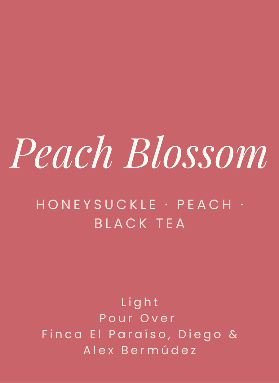 Peach Blossom EA Decaf – Colombia Finca El Paraíso (Castillo)