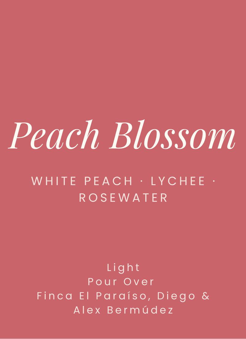 Peach Blossom EA Decaf – Colombia Finca El Paraíso (Castillo)