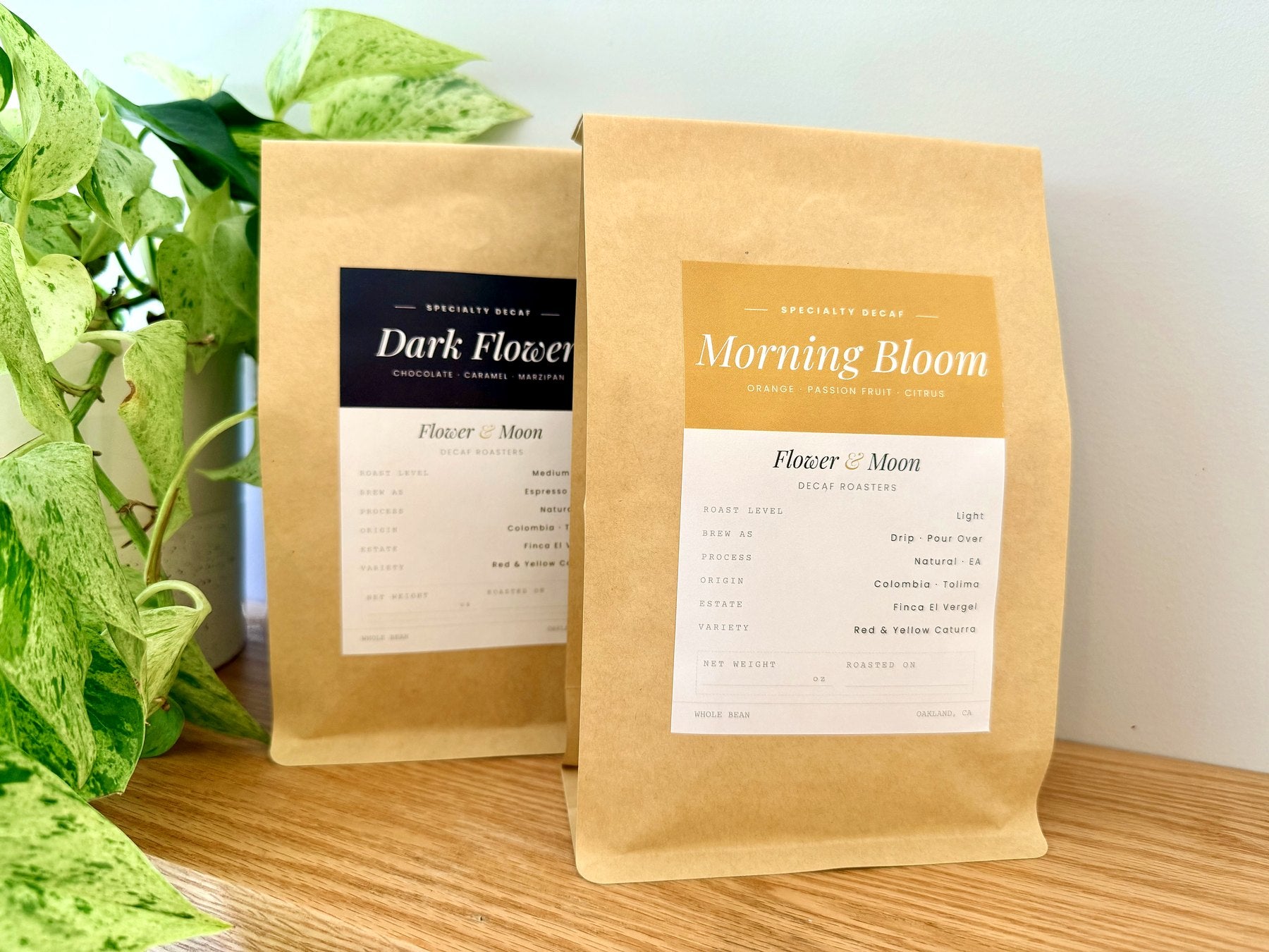 Flower & Moon coffee bags on the shelf at home in Oakland